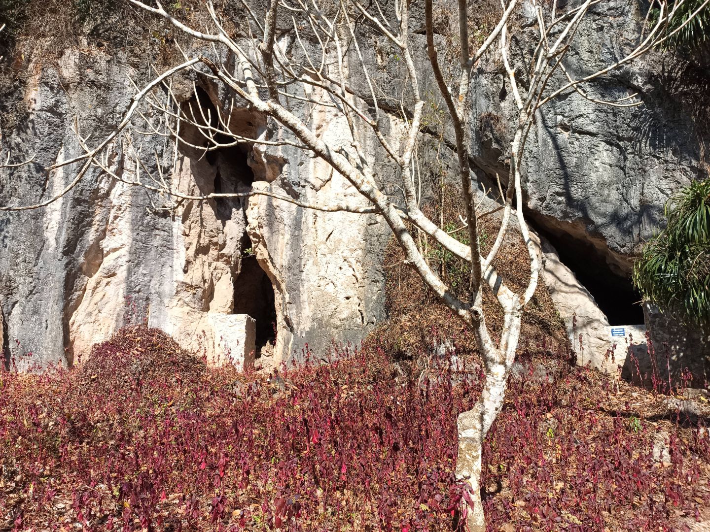 grotta