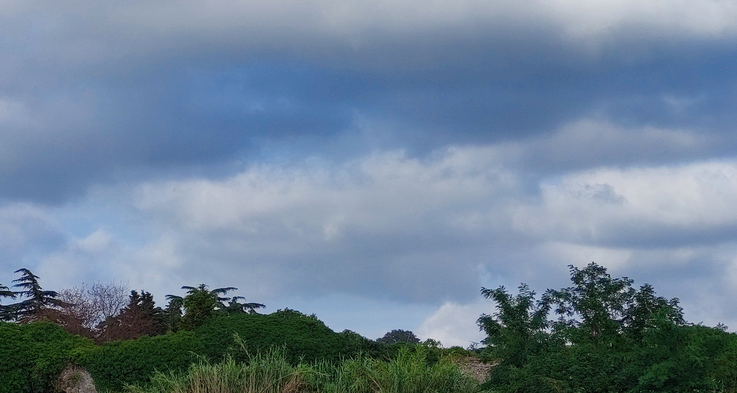 Cielo molto nuvoloso, in basso vegetazione