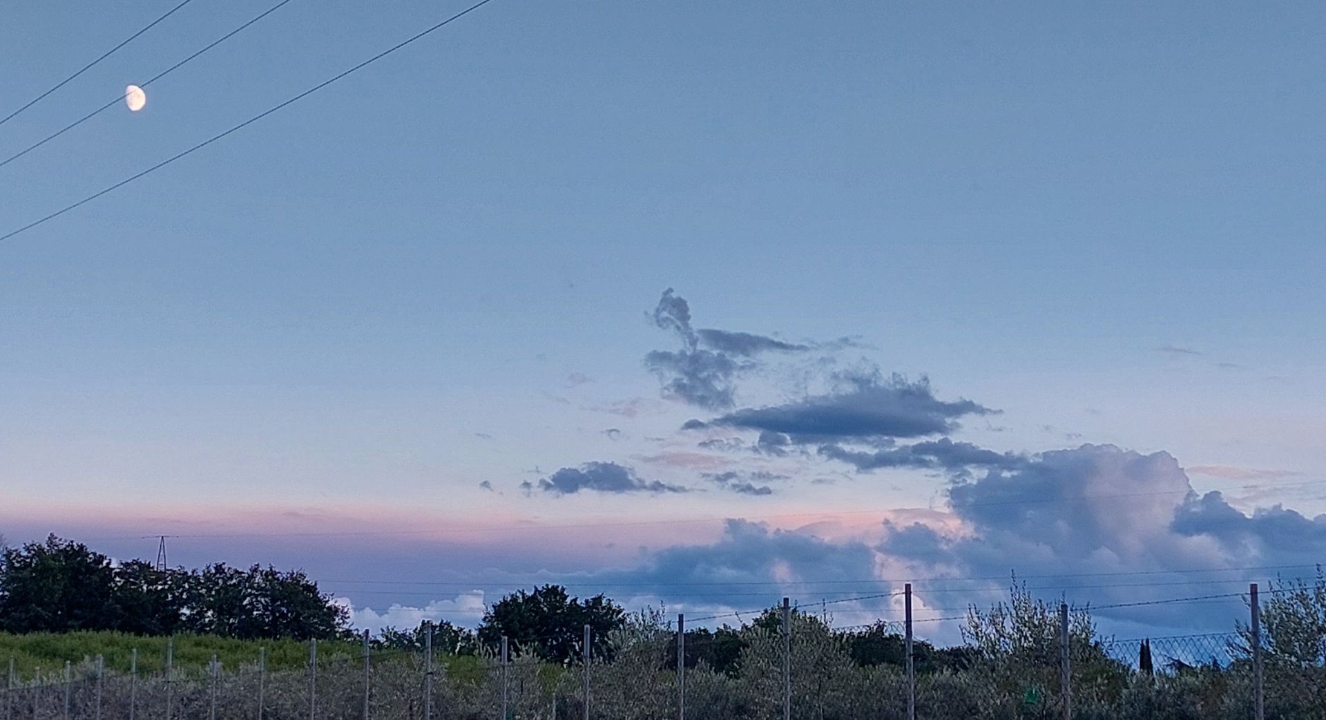 Paesaggio serale cielo quasi sgombro dalle nuvole, dopo un acquazzone furioso con grandinata, striature celeste e rosa, in alto a sinistra la luna, in basso alberi.
Evening landscape, sky almost clear of clouds, after a furious downpour with hail, streaks of light blue and pink, the moon at the top left, trees at the bottom.