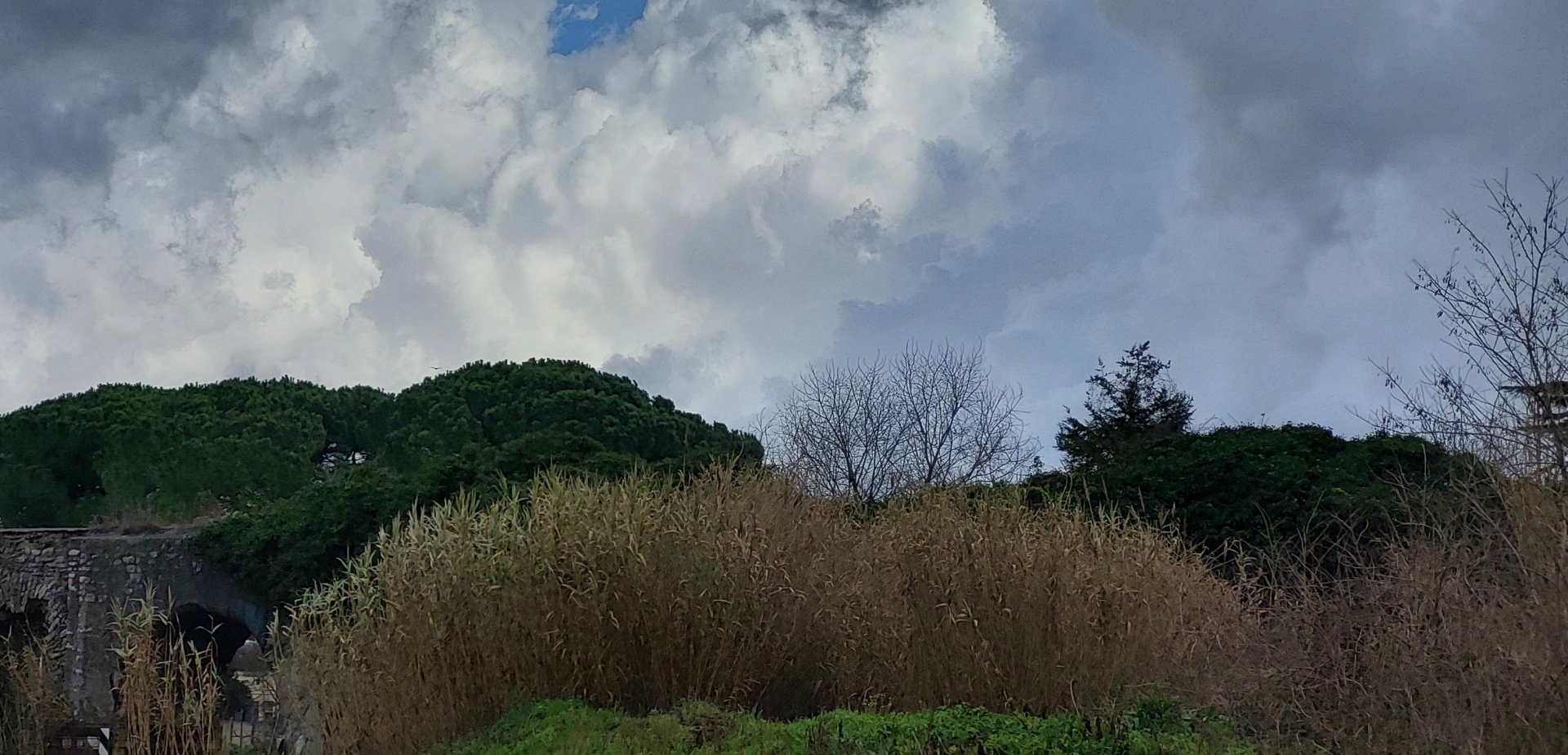 In alto cielo nuvoloso alla fine della corsetta, in basso vegetazione.

Above, cloudy sky at the end of the jog, below, vegetation.