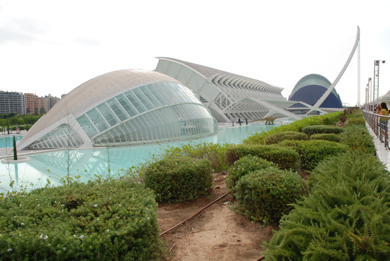 Città delle Arti e della Scienza  (Valencia, Spagna) La foto raffigura uno scorcio degli edifici bianchi del complesso progettato dall'Architetto Calatrava. Foto scattata con Nikon D80