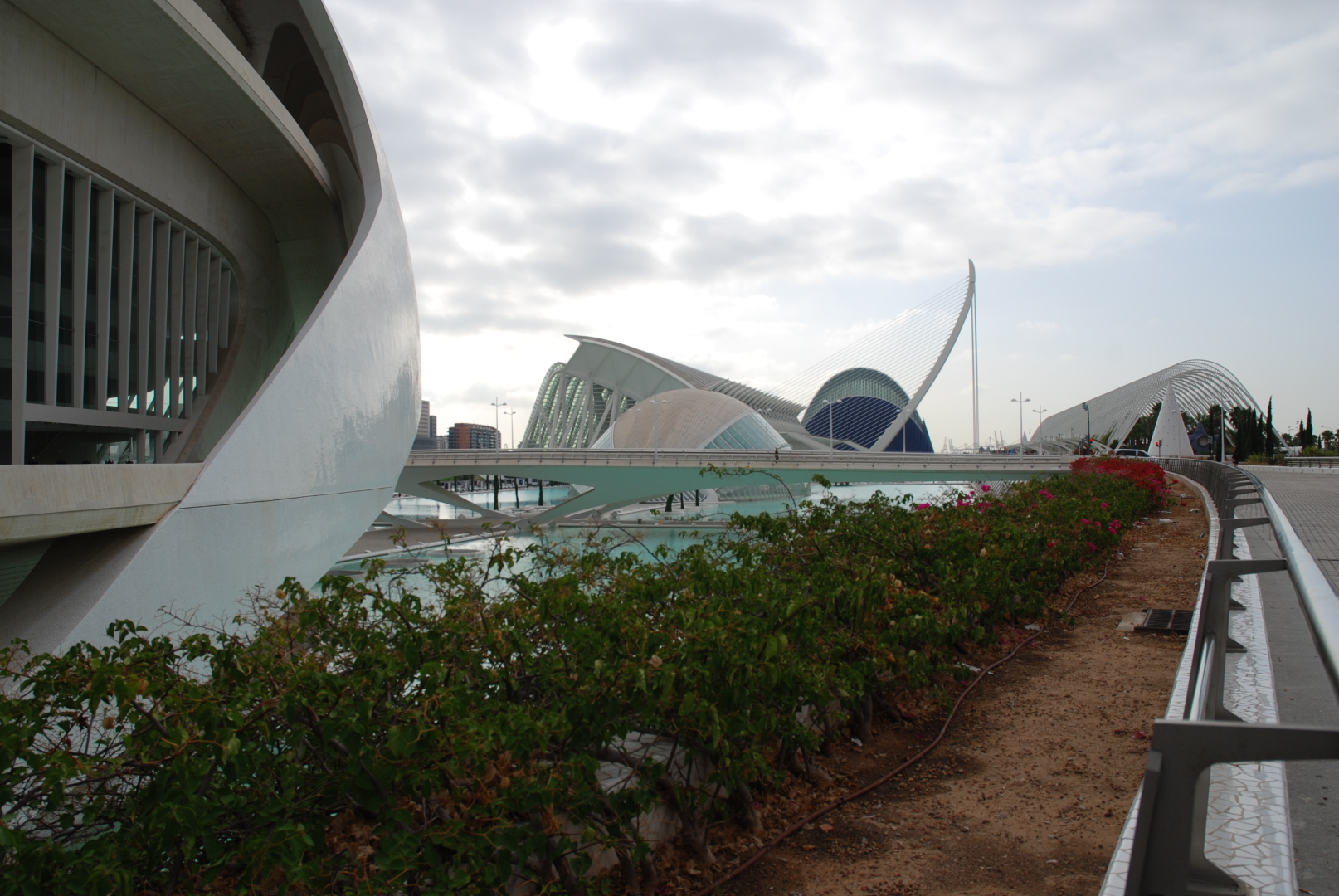 Città delle Arti e della Scienza  (Valencia, Spagna) La foto raffigura uno scorcio degli edifici bianchi del complesso progettato dall'Architetto Calatrava. Foto scattata con Nikon D80