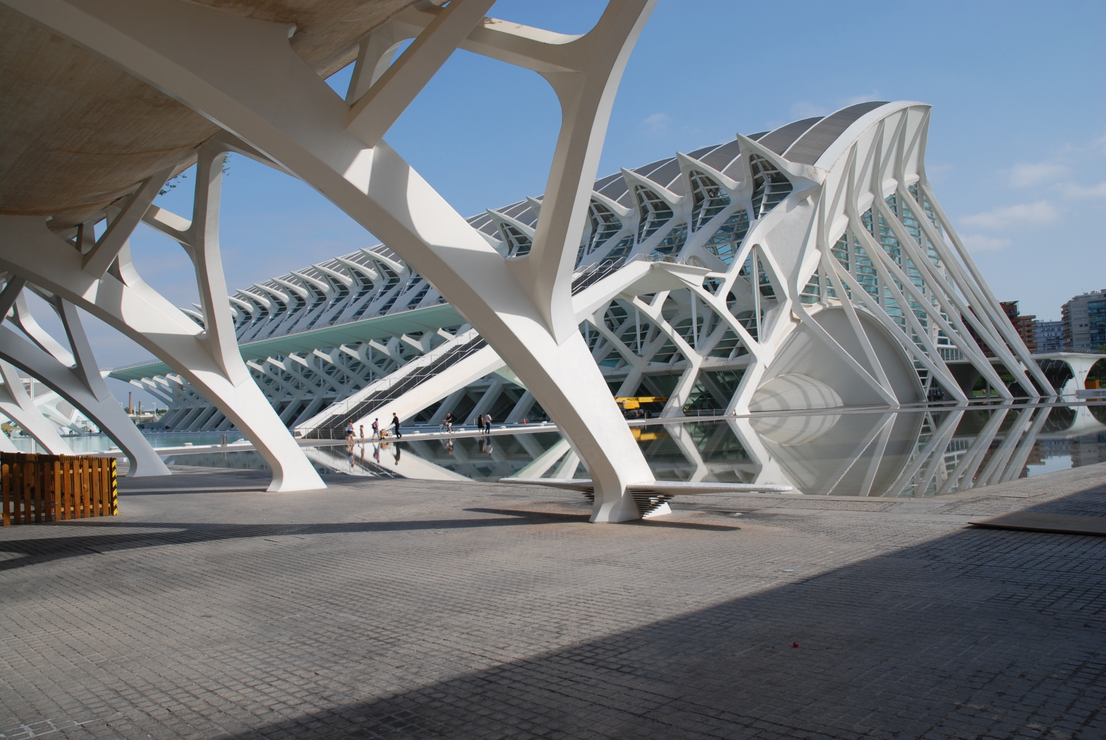 Museo della Scienza, edificio facente parte della Città delle Arti e della Scienza  (Valencia, Spagna), complesso progettato dall'Architetto Calatrava. Foto scattata con Nikon D80