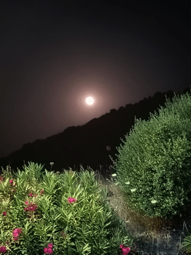 Serata con luna