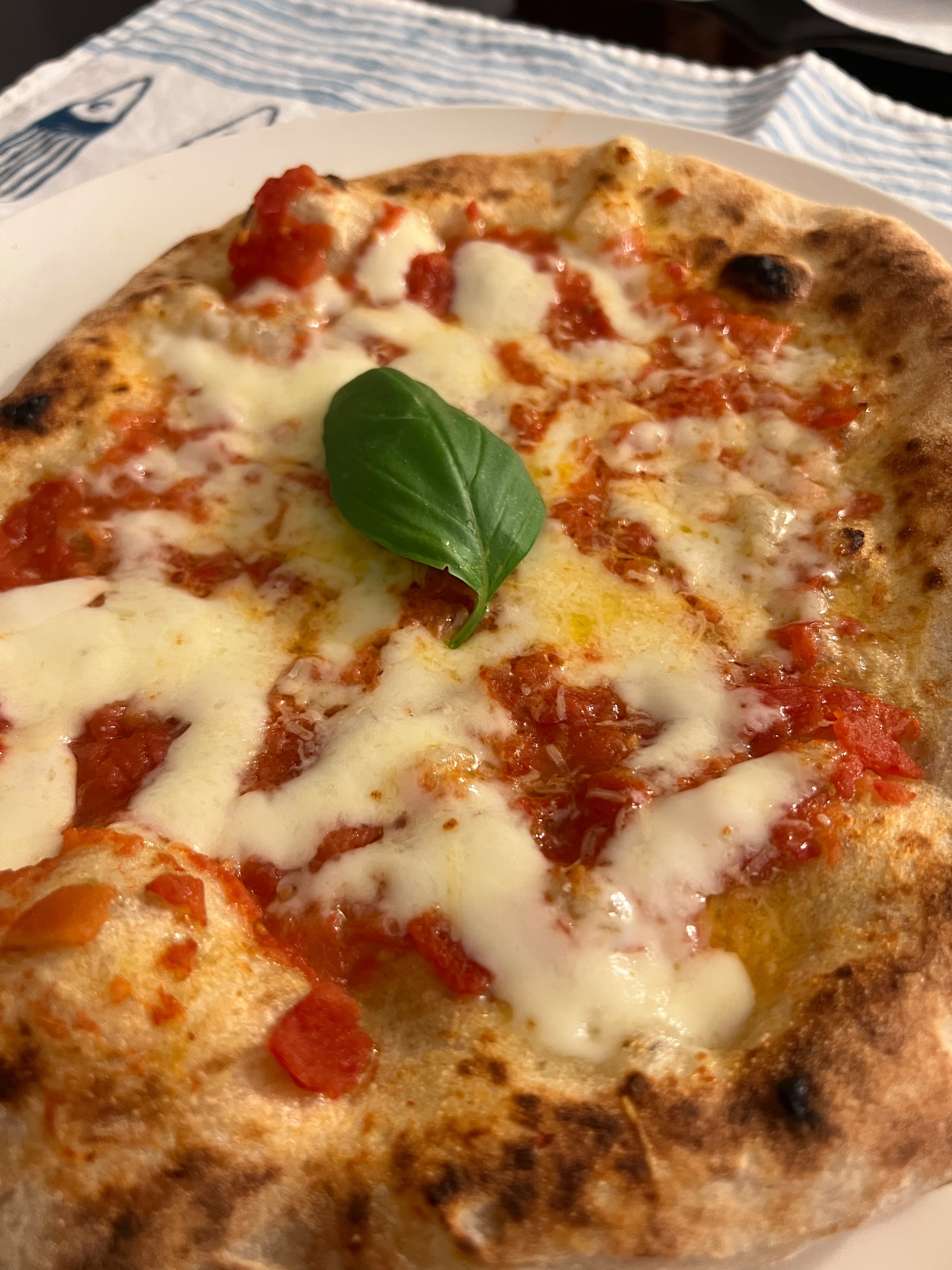 Pizza napoletana Margherita