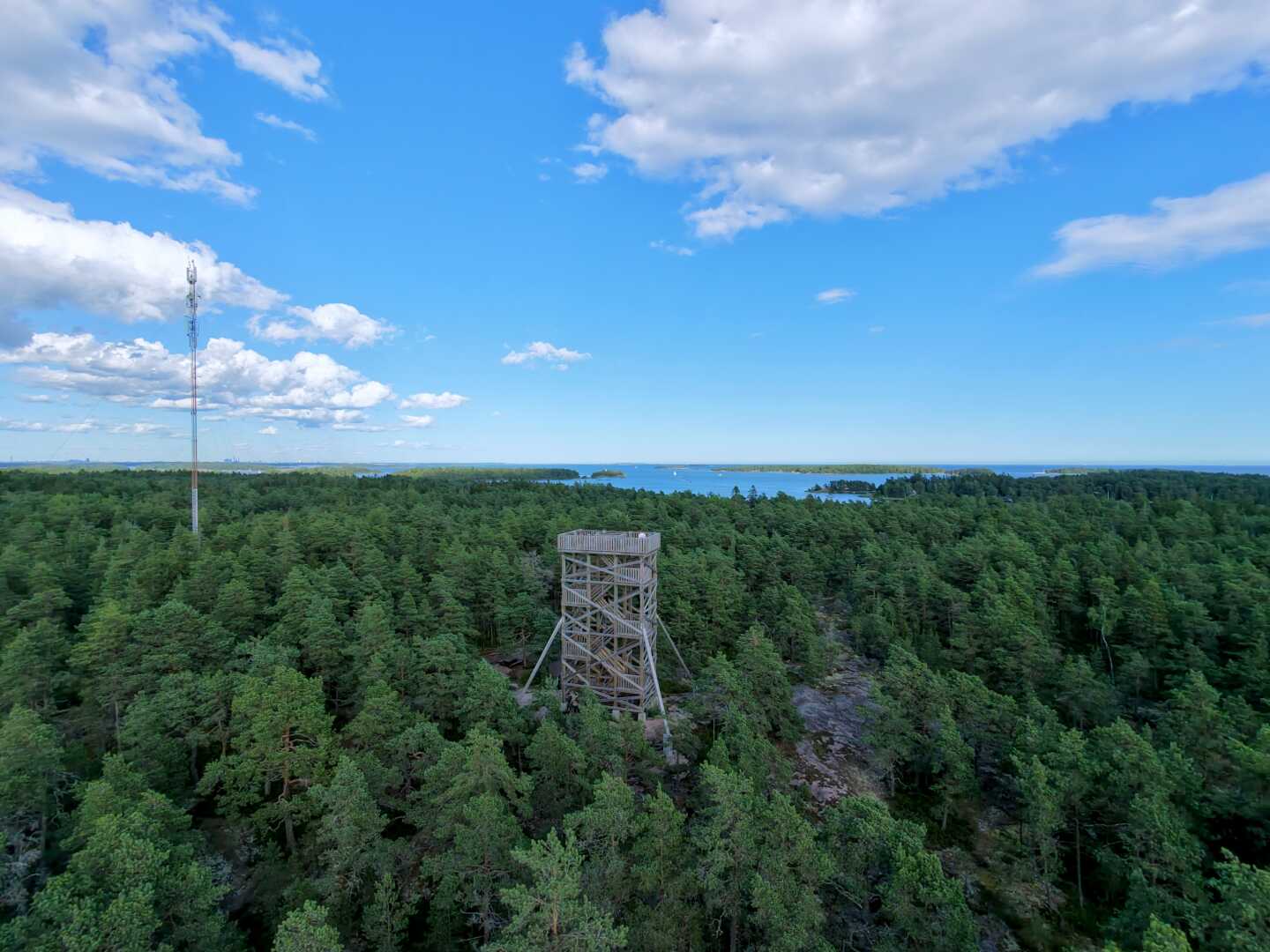 A photo of the birdwatching tower in Bergö, in the middle of the forest