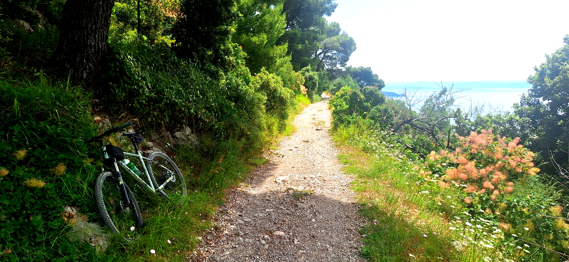 Sentiero collinare immerso nel verdo. In lontananza il mare del Golfo di Trieste