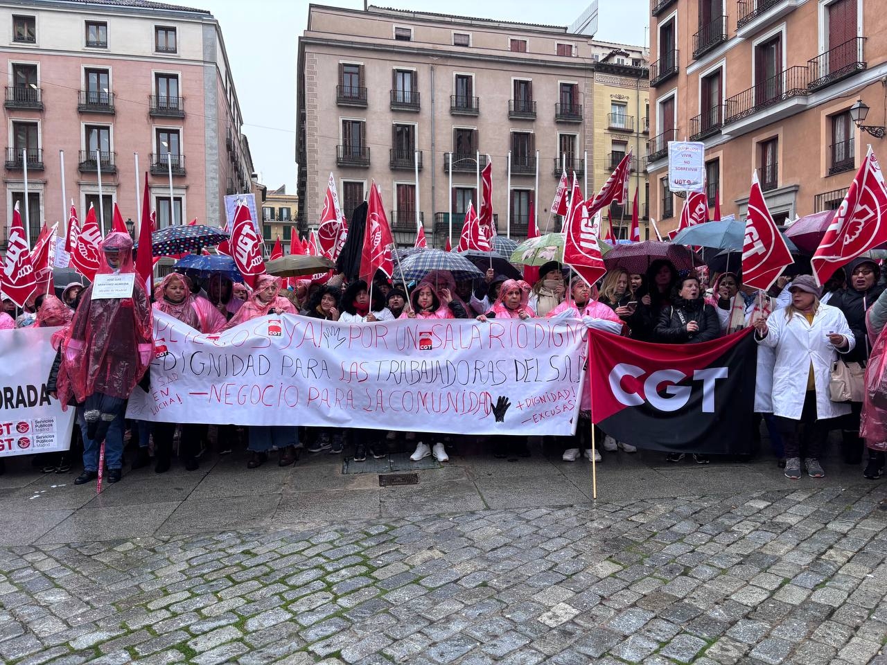 Un gran número de trabajadoras del Servicio de Ayuda a Domicilio se manifiestan con pancartas contra la precariedad y por un salario digno