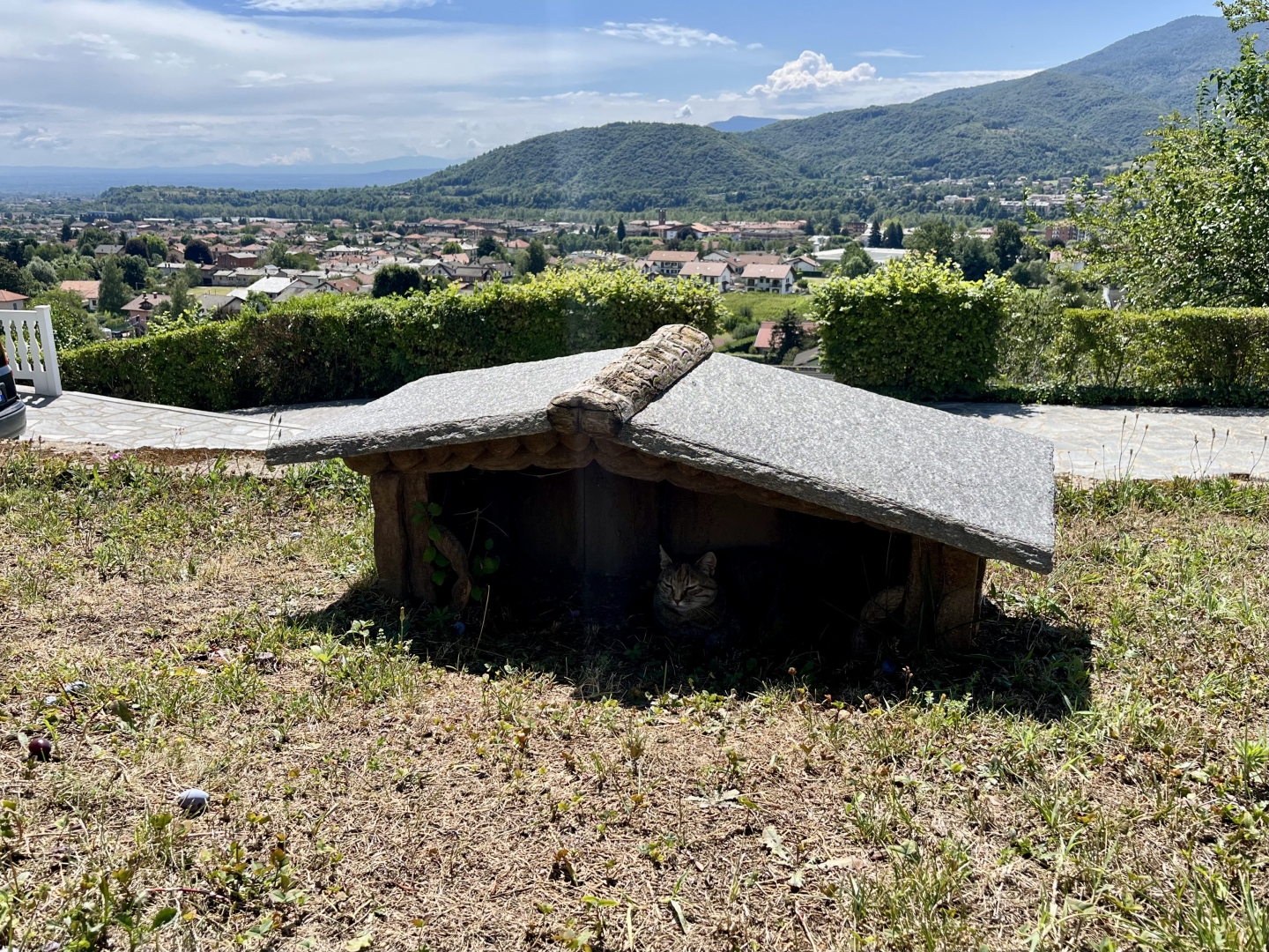 riparo