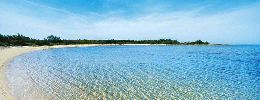 Acqua limpida, cristallina tanto da poter vedere benissimo il fondo del mare 🏖️