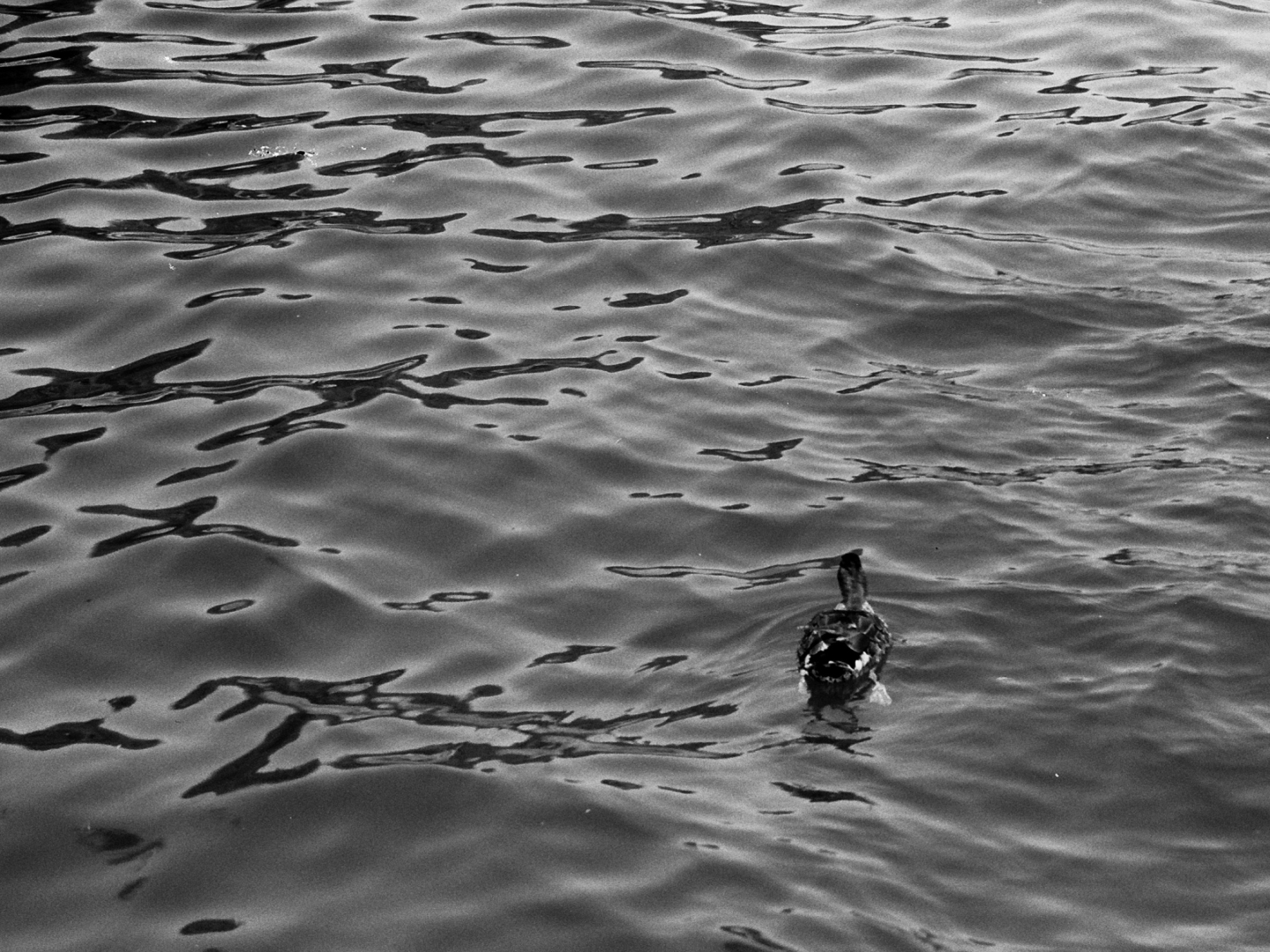 Lake Viverone