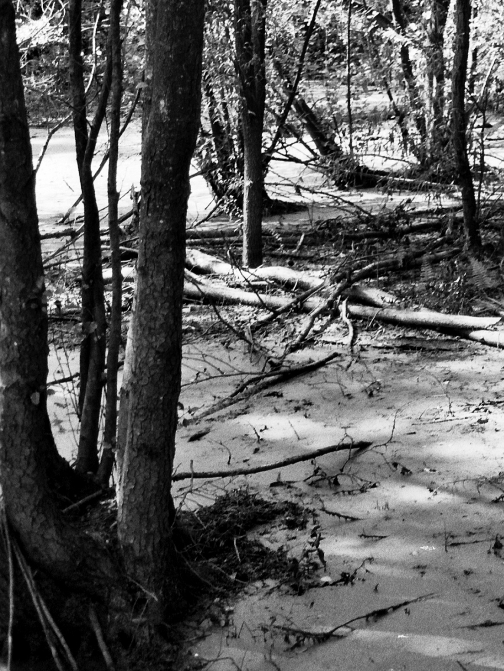 Lake Viverone